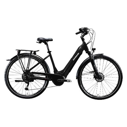 Bicicletta Elettrica Da Città Pieghevole 48V 250W – Telaio In Acciaio, Freni A Disco, Autonomia Garantita (Nera)