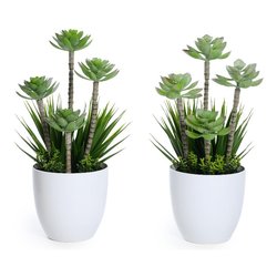 Pungitopo Artificiale Vitus In Sacchetto Di Juta – Altezza 22 Cm – Pianta Finta Decorativa Per Casa E Negozio