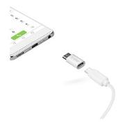 Adattatore USB Type-C/M a VGA/F Enivoitech